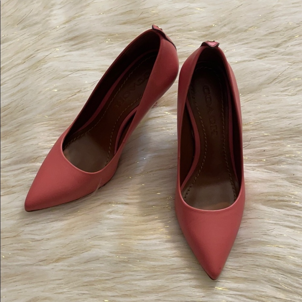 Pointed shoe